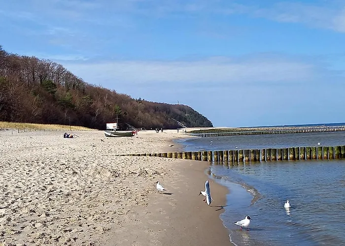 فندق Ratscafe 2*